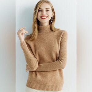 LINY XIN Women's Turtleneck 100% Merino Wool sweater